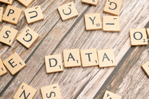 Data Migration and Organization Process
