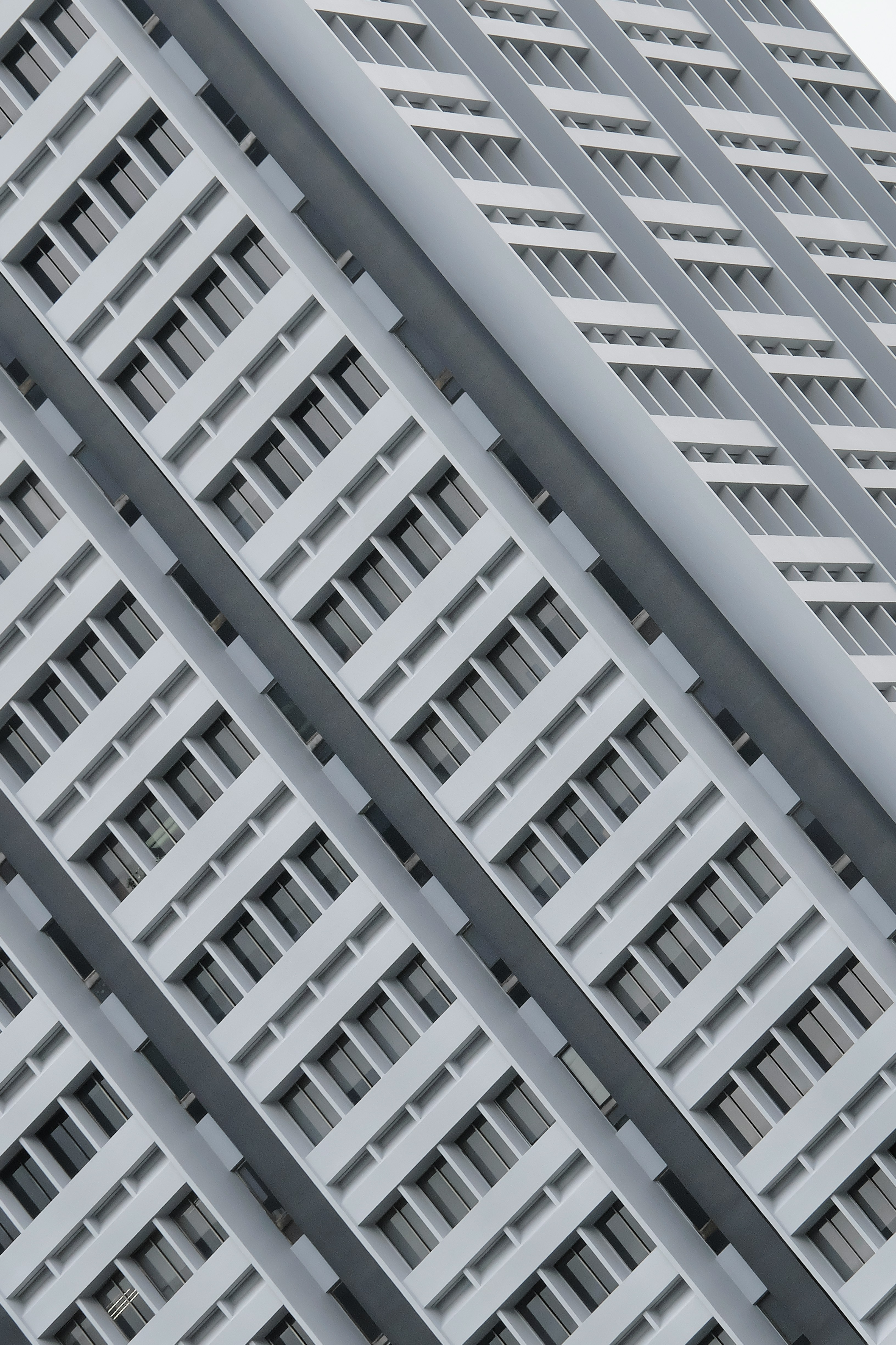 Infographic highlighting the benefits of templates versus building from scratch