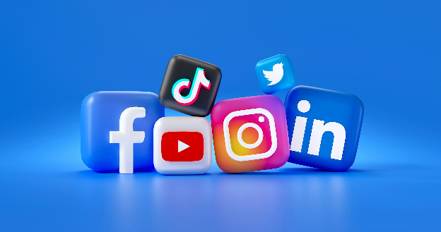 Social Media Management Interface