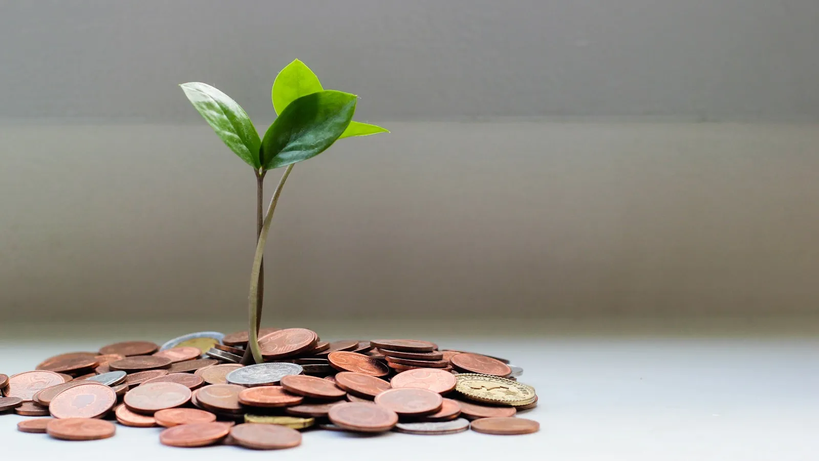Renewal Revenue Leakage: How to Identify and Prevent Subscription Revenue Loss